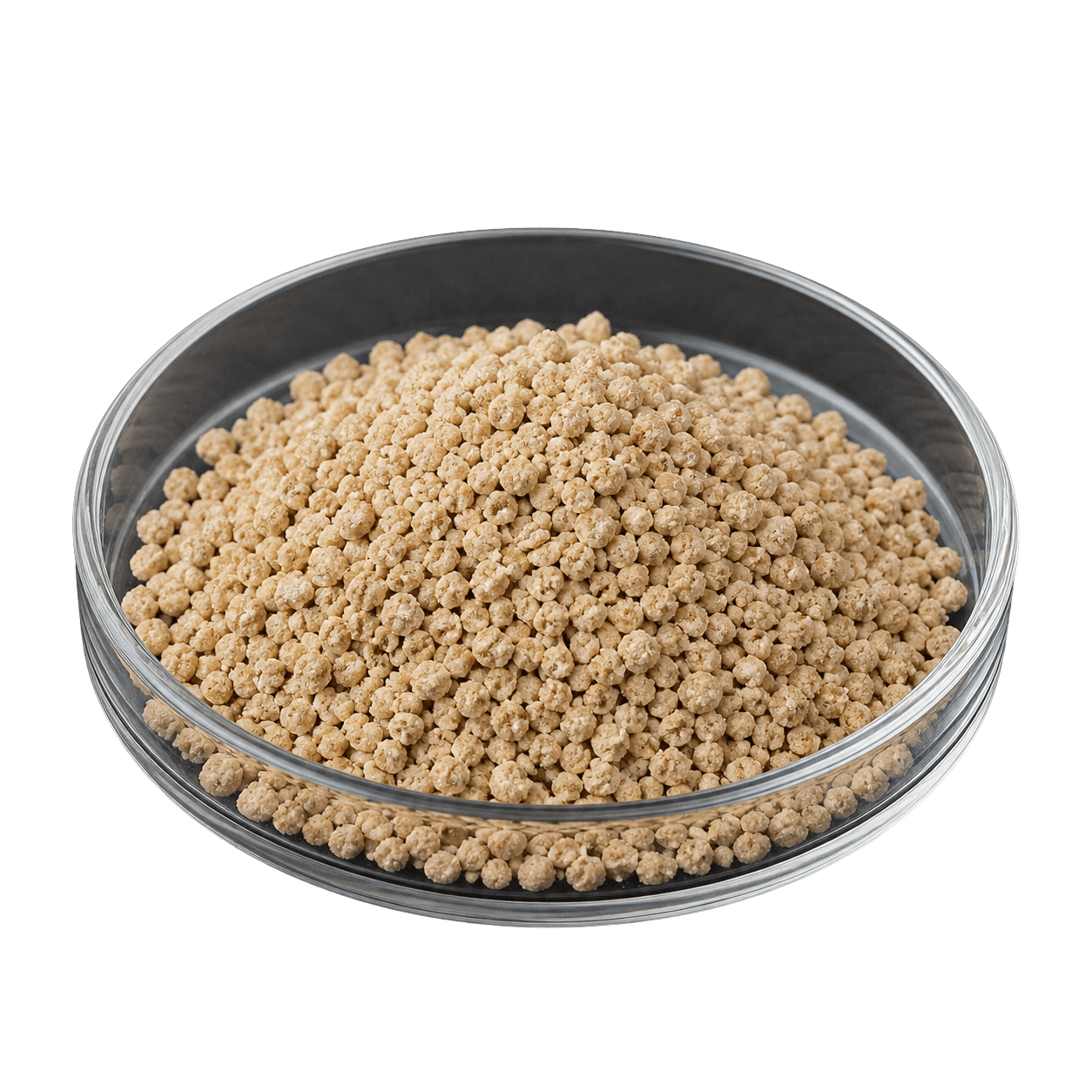 RUMEN-PROTECTED FAT (PALMNUTRI)